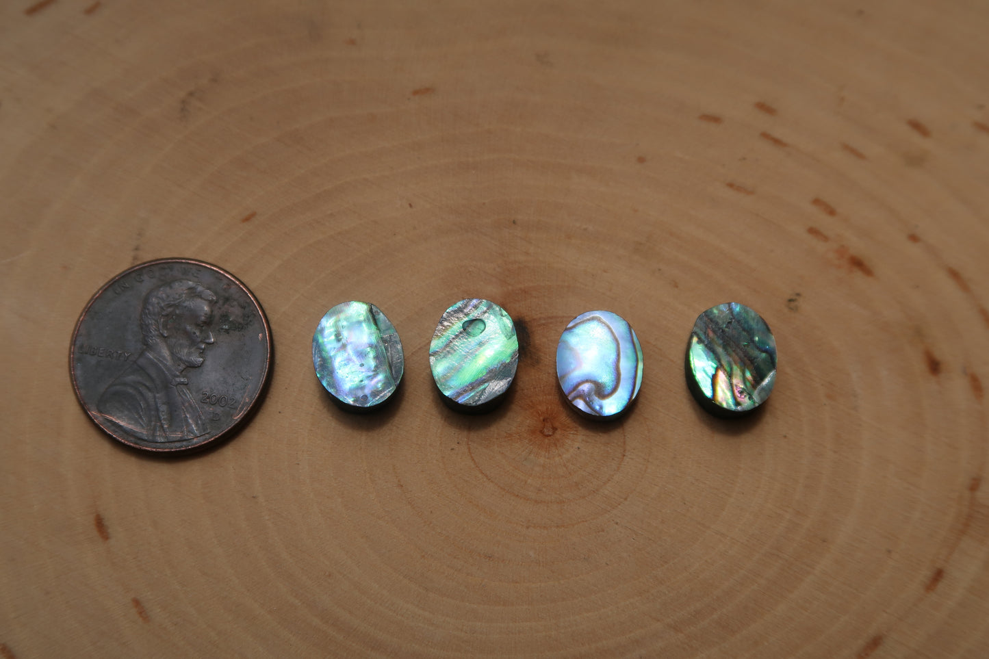 Abalone ring-choose your shell!