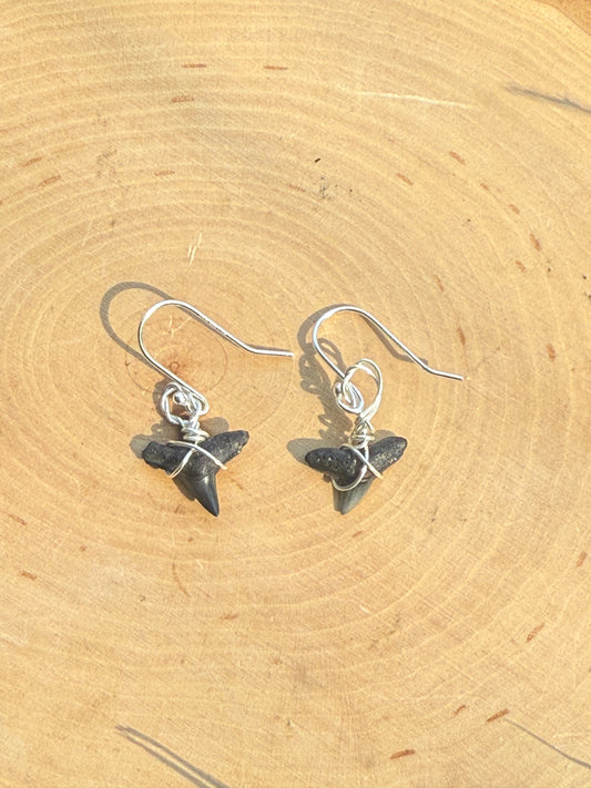 One pair of wire wrapped sterling silver shark tooth earrings