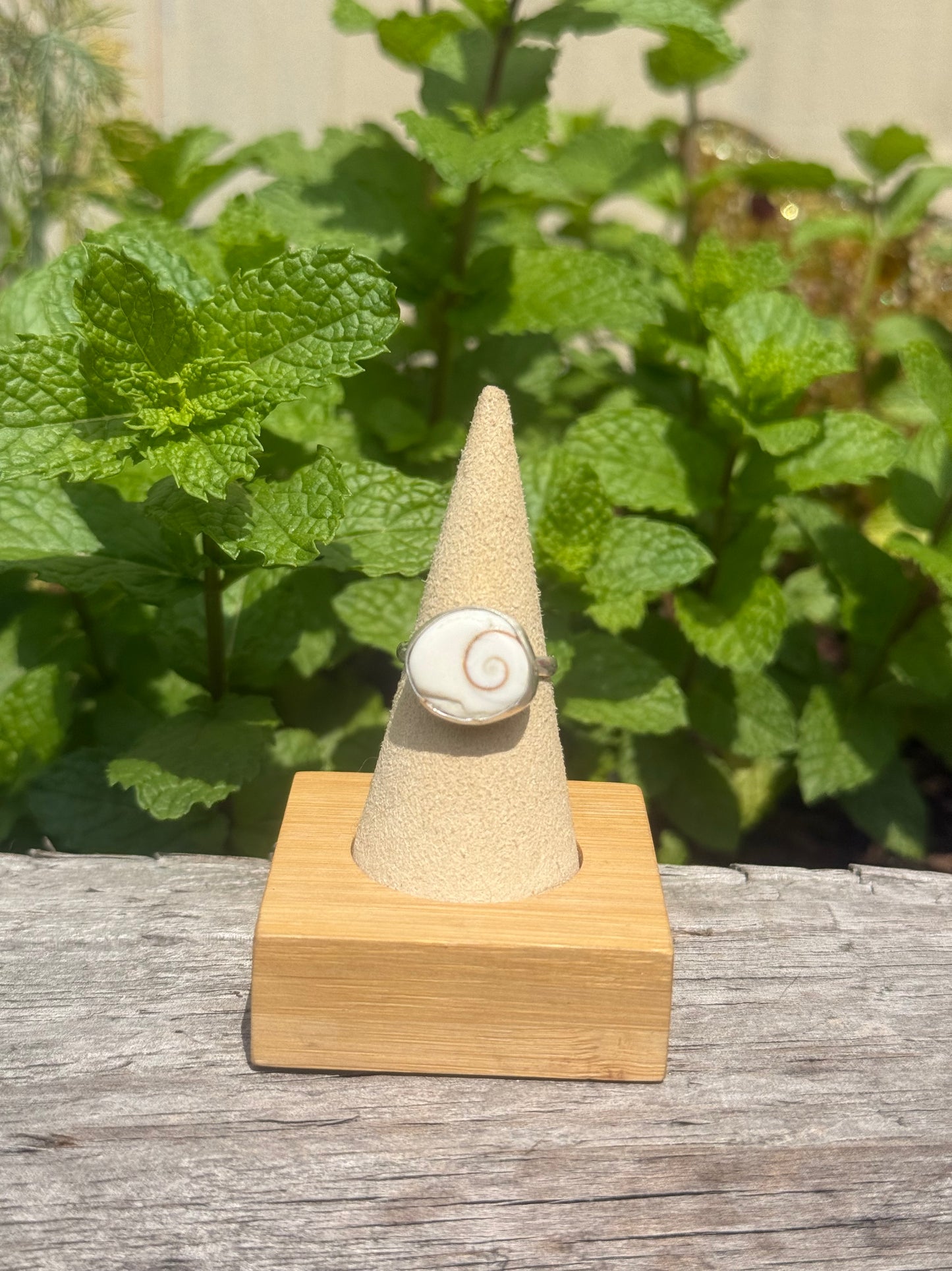 Shiva eye shell ring size 8.5