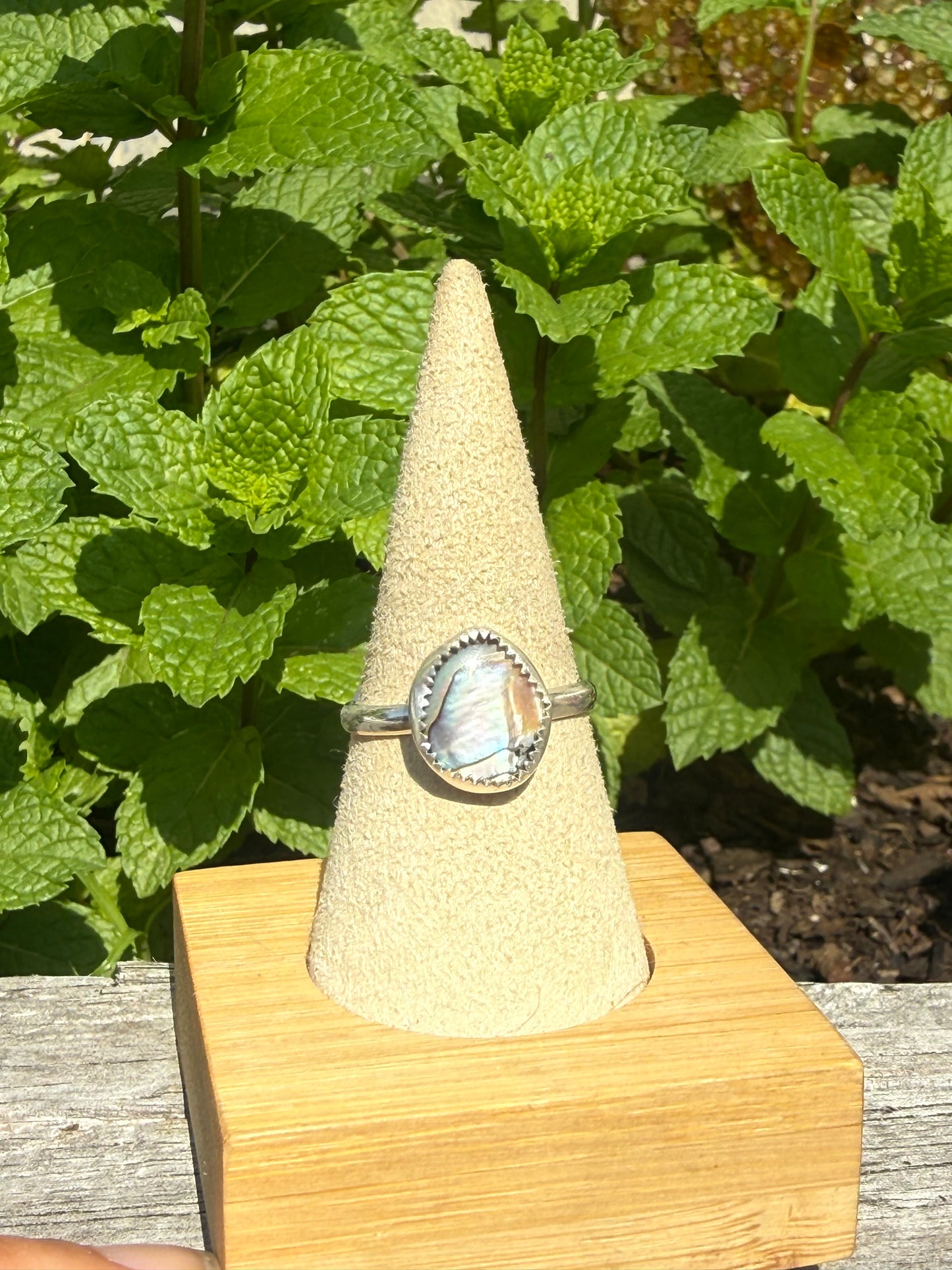 Abalone shell ring size 10