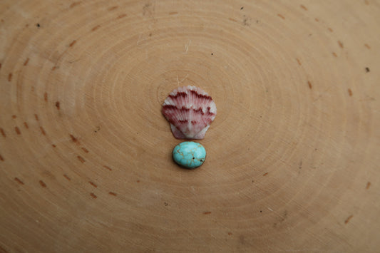 Pink shell and turquoise