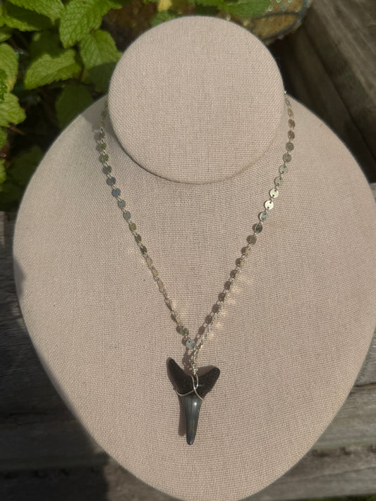 Wire wrapped shark tooth disc chain necklace 18”