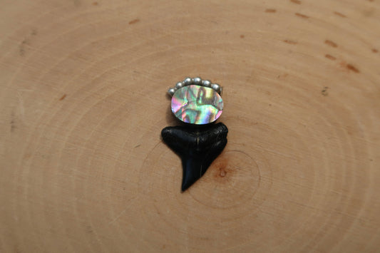 “Touch of pink” abalone shark tooth ring