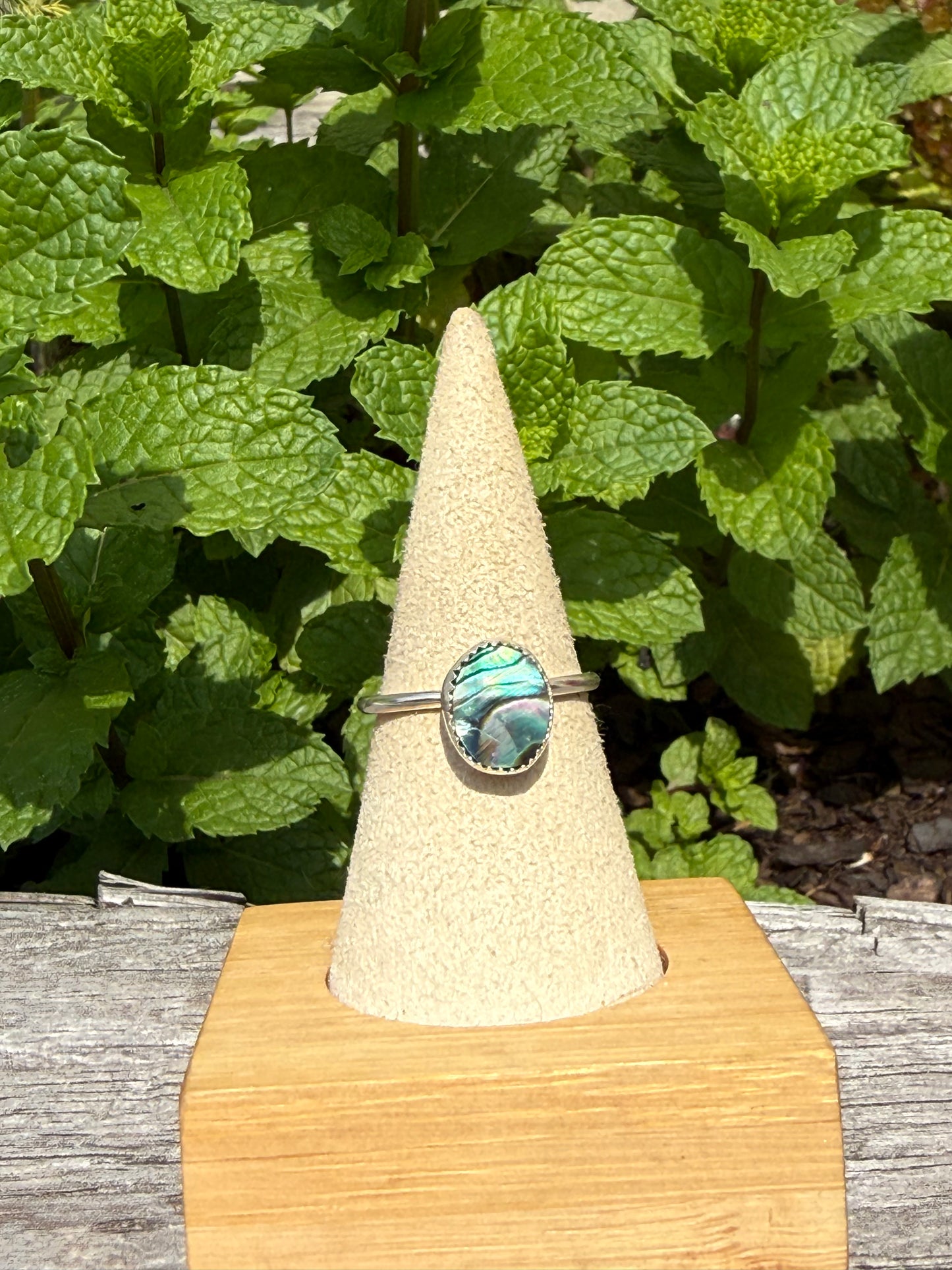 Abalone shell ring size 8.5