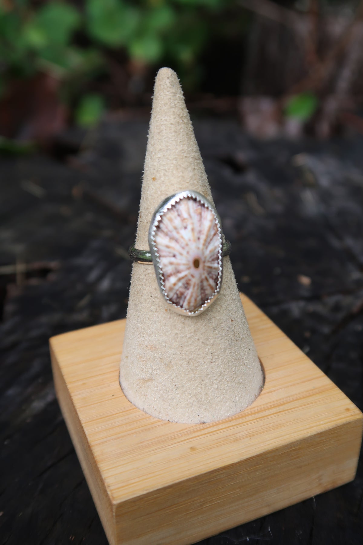 Opihi shell ring size 7