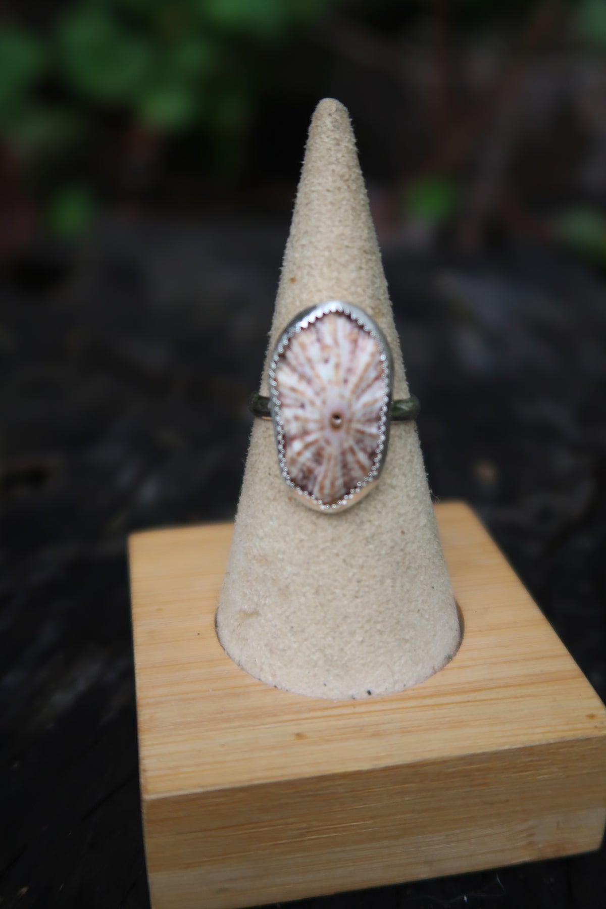 Opihi shell ring size 7