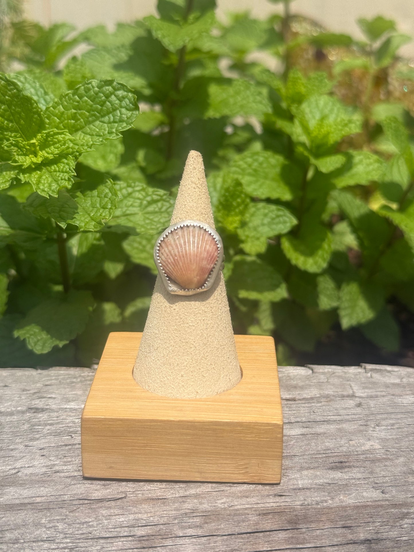Calico shell ring #5- made in your size