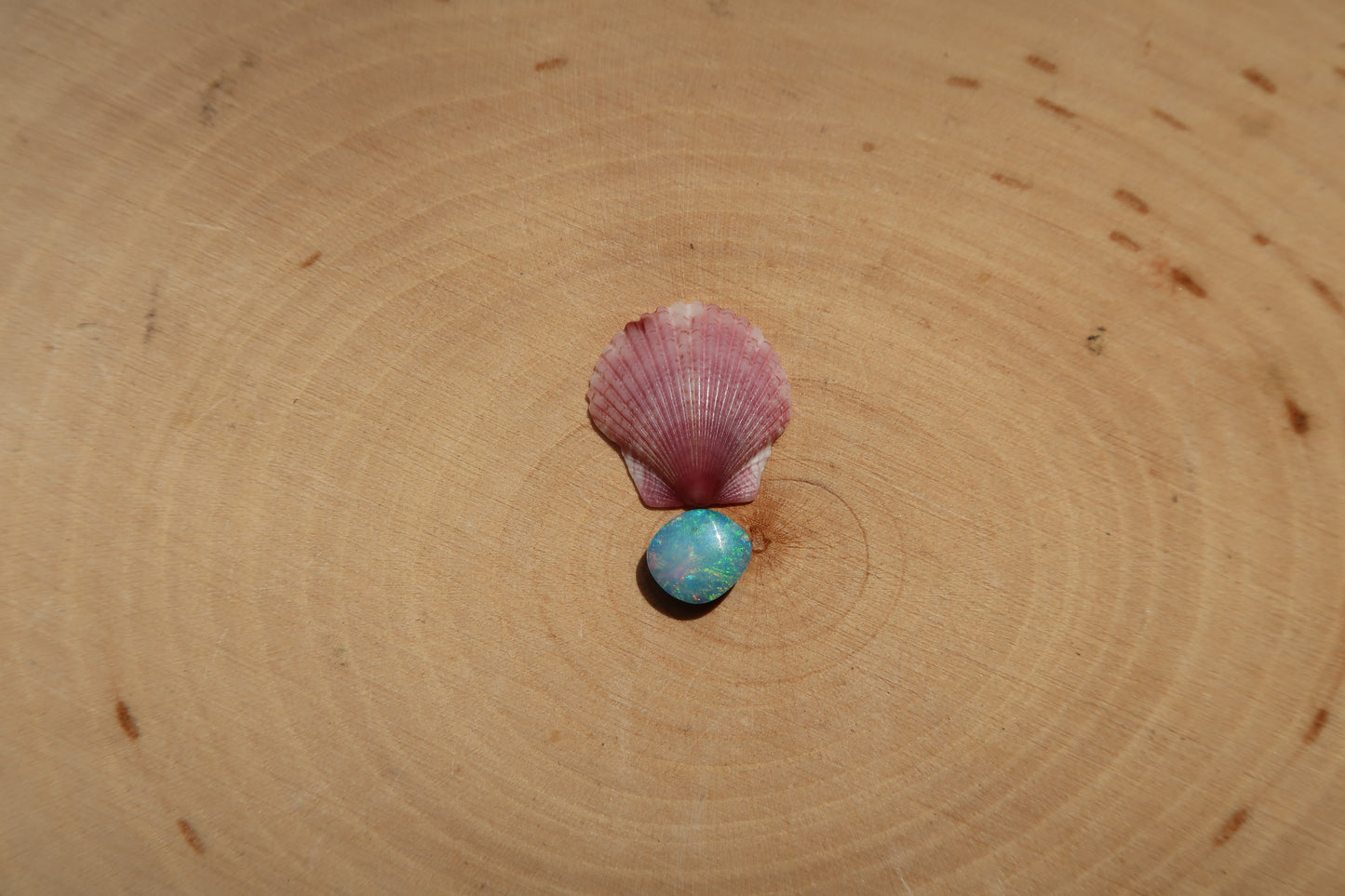 Plain shell and opal ring