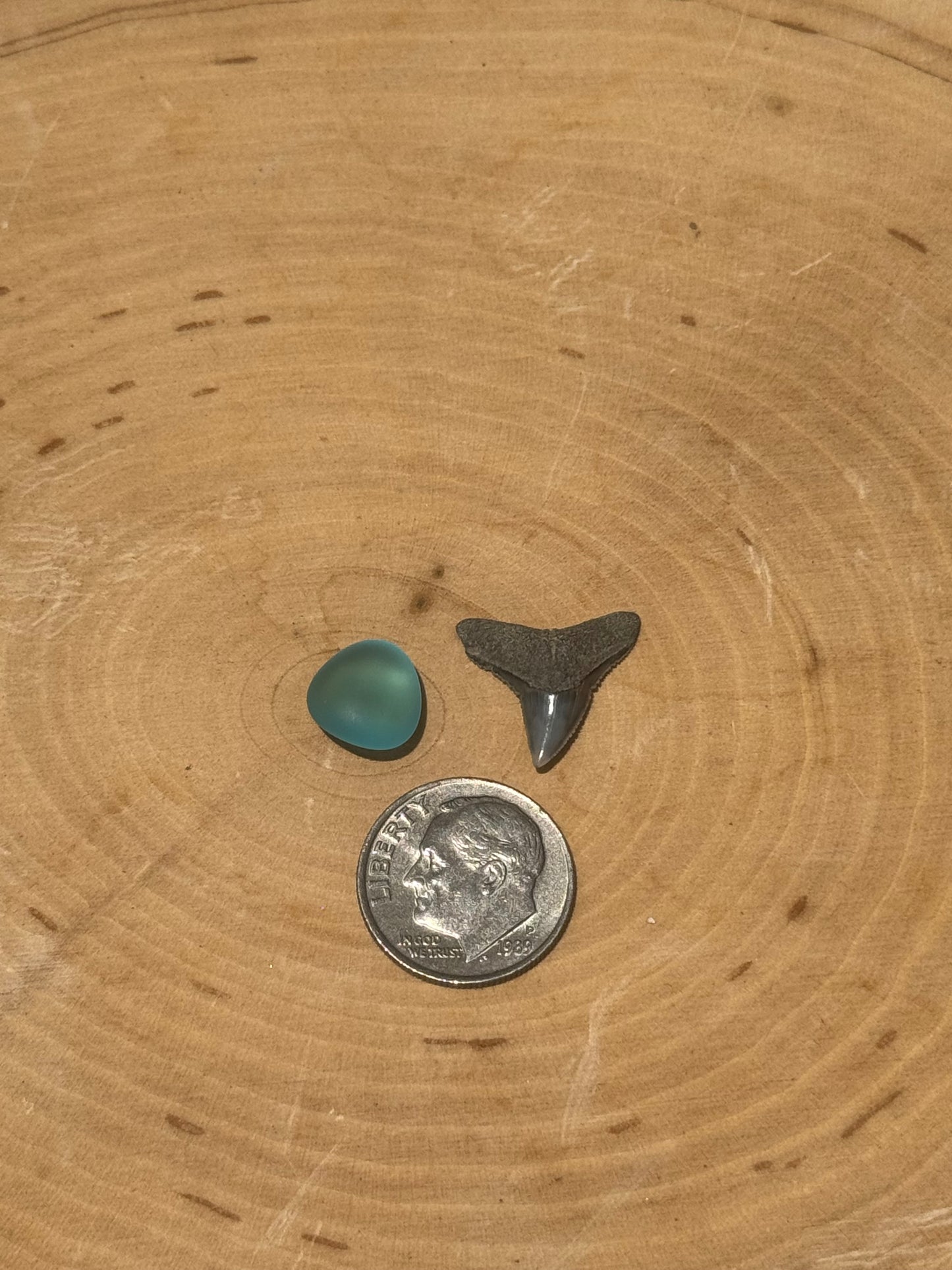 Adjustable shark tooth & blue seaglass ring- made in your size!