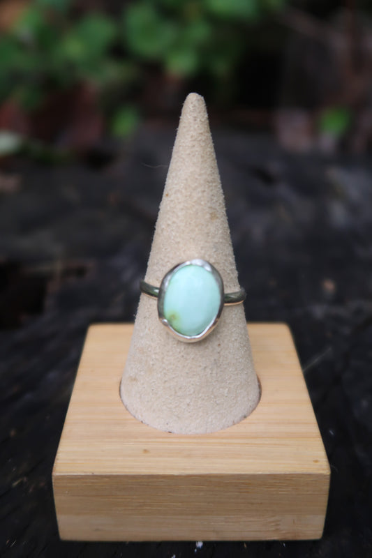 Palomino turquoise size 10