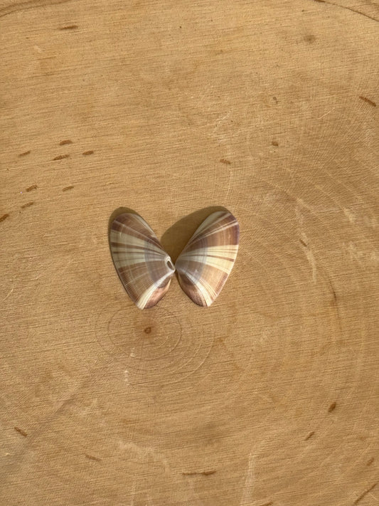 Butterfly shell ring-made in your size!
