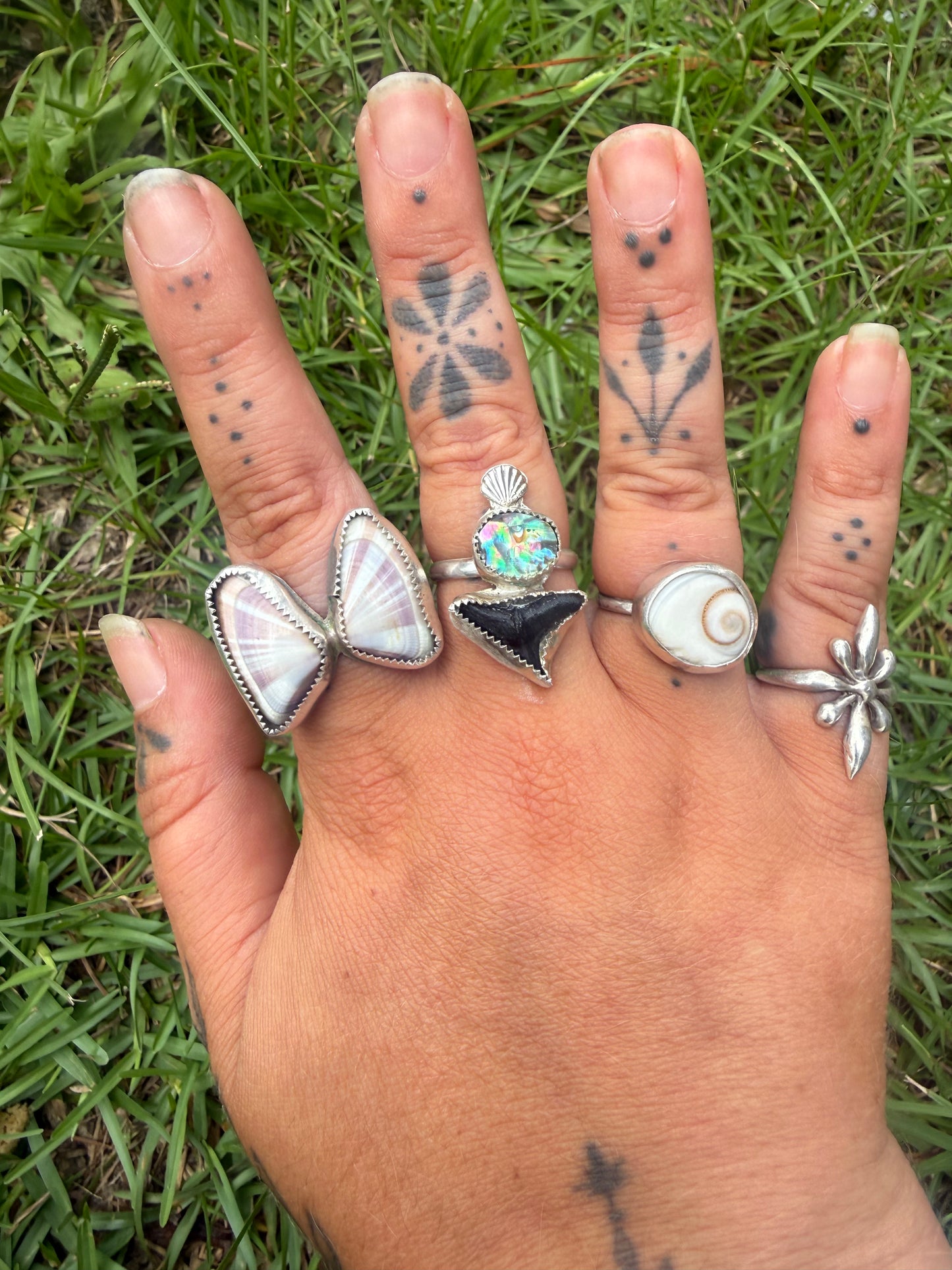 Abalone and shark tooth ring size 8
