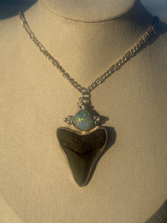 Opal & big mama shark tooth necklace