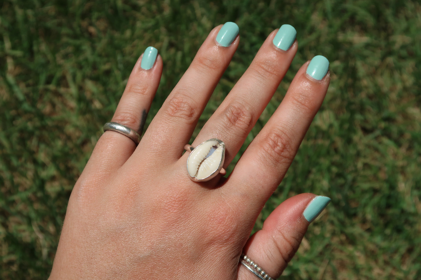 Cowrie shell- Made in your size!