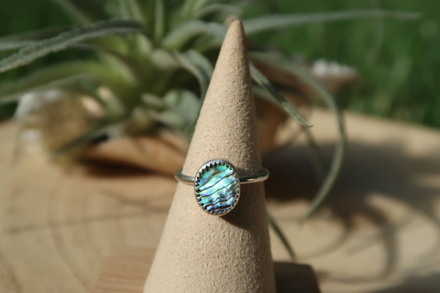 Abalone ring size 6