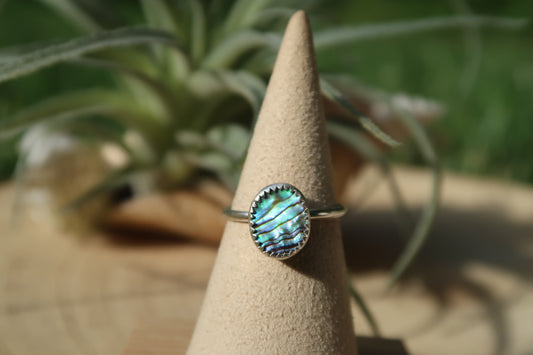 Abalone ring size 6