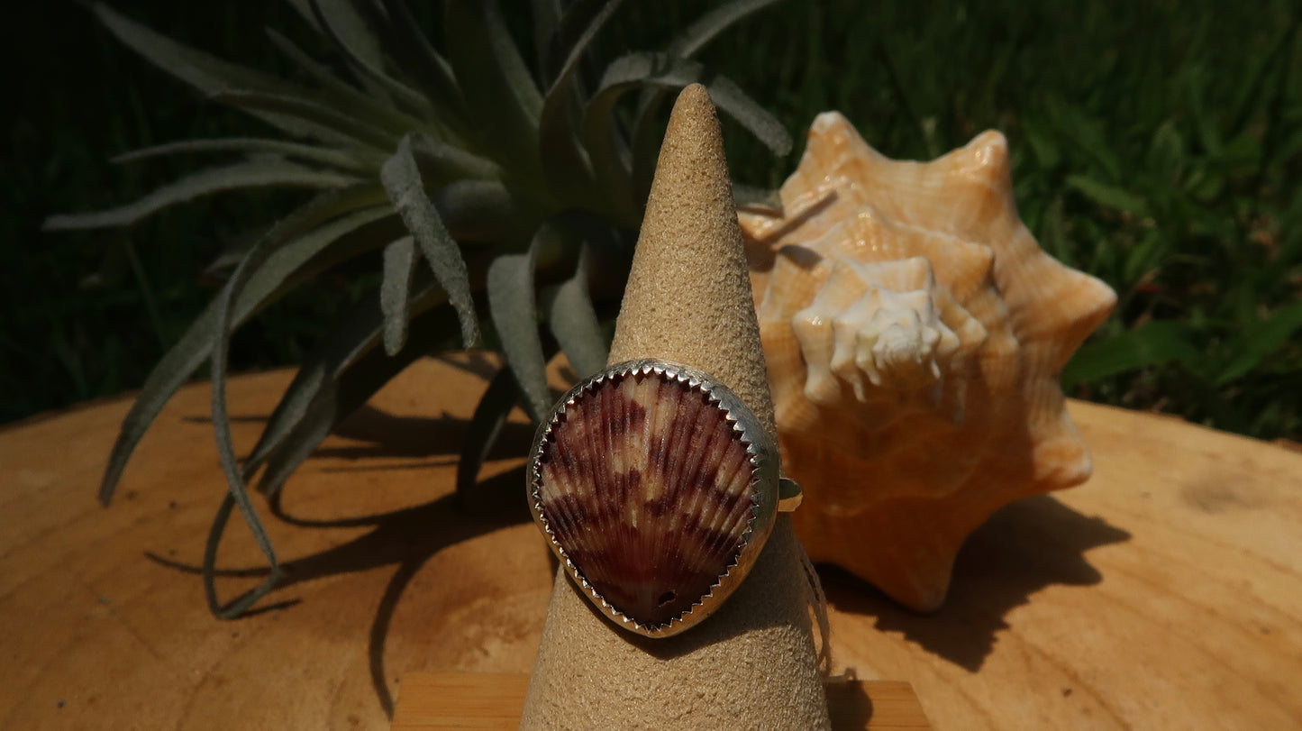 Pink scallop shell ring size 7