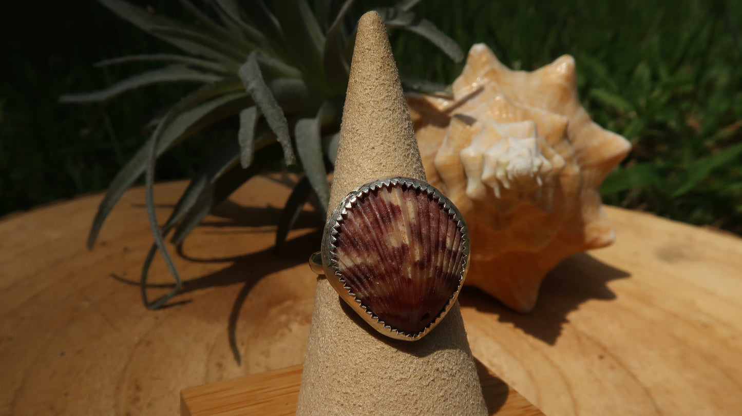 Pink scallop shell ring size 7