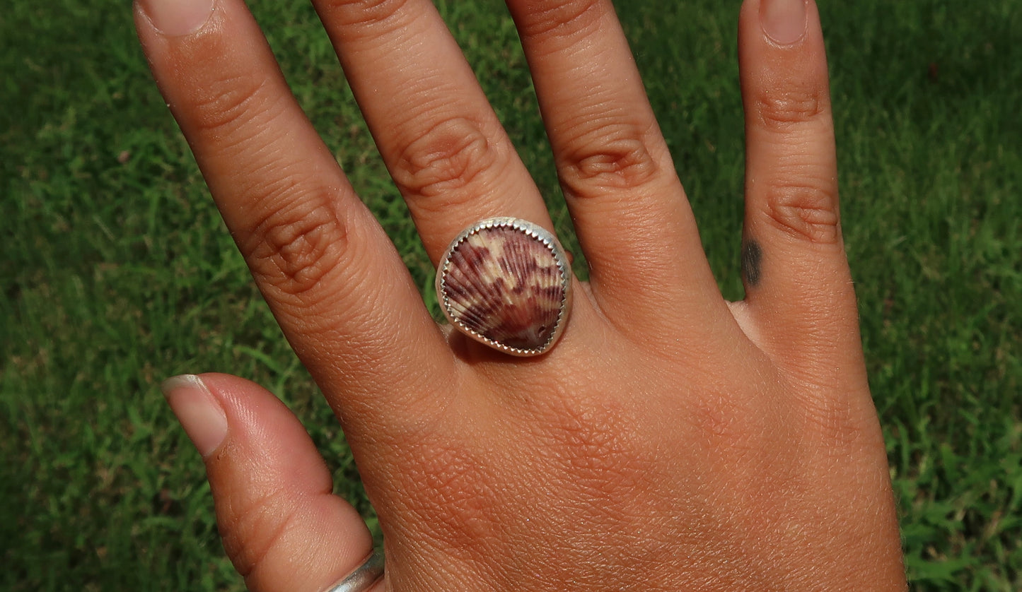 Pink scallop shell ring size 7