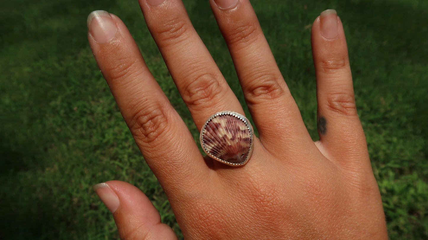 Pink scallop shell ring size 7