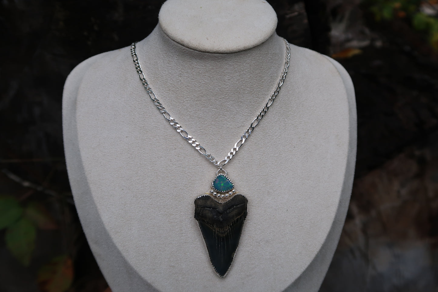 Angustidens shark tooth and opal necklace