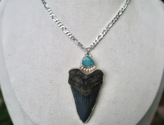 Angustidens shark tooth and opal necklace