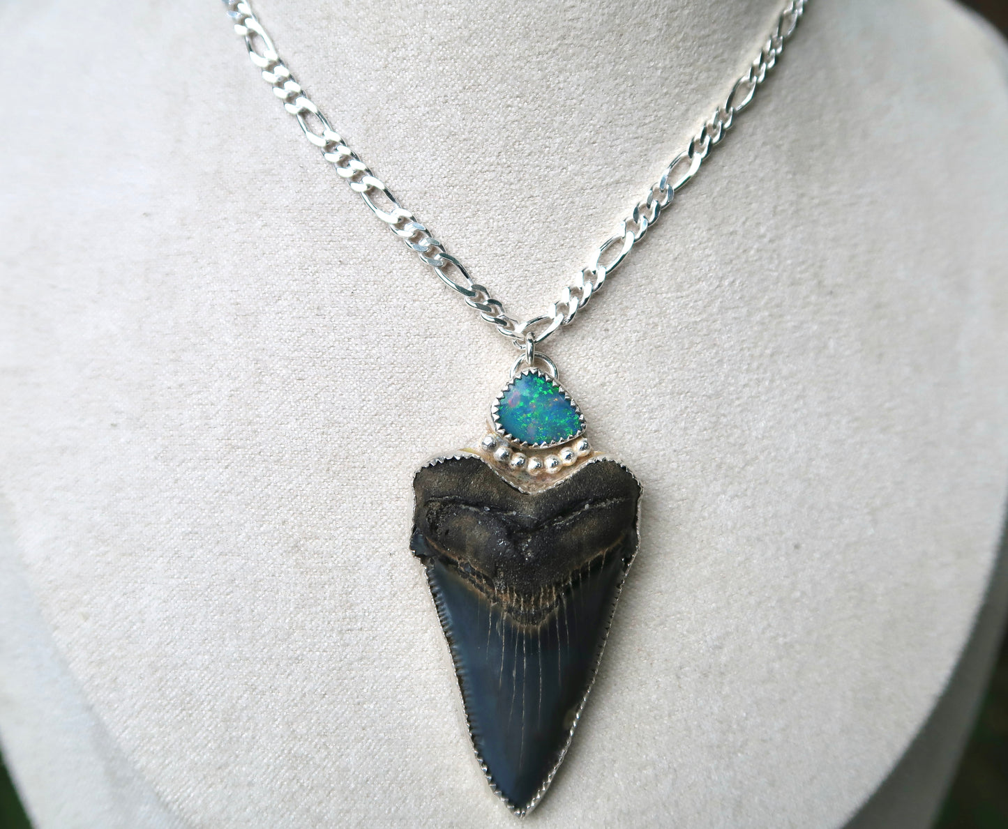 Angustidens shark tooth and opal necklace