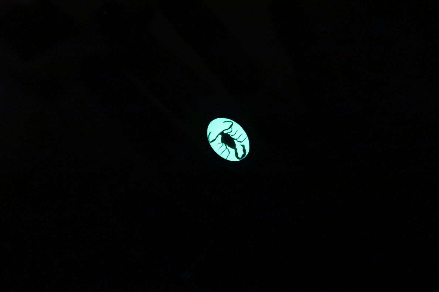 Glow in the dark Scorpion ring size 8