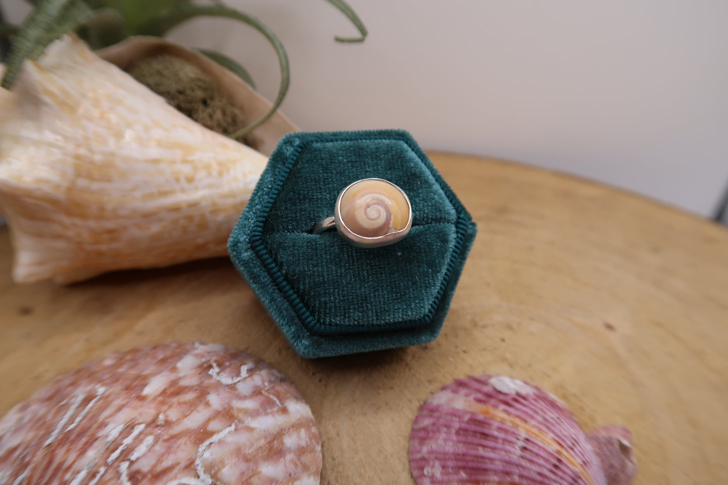 Swirl shell ring size 7