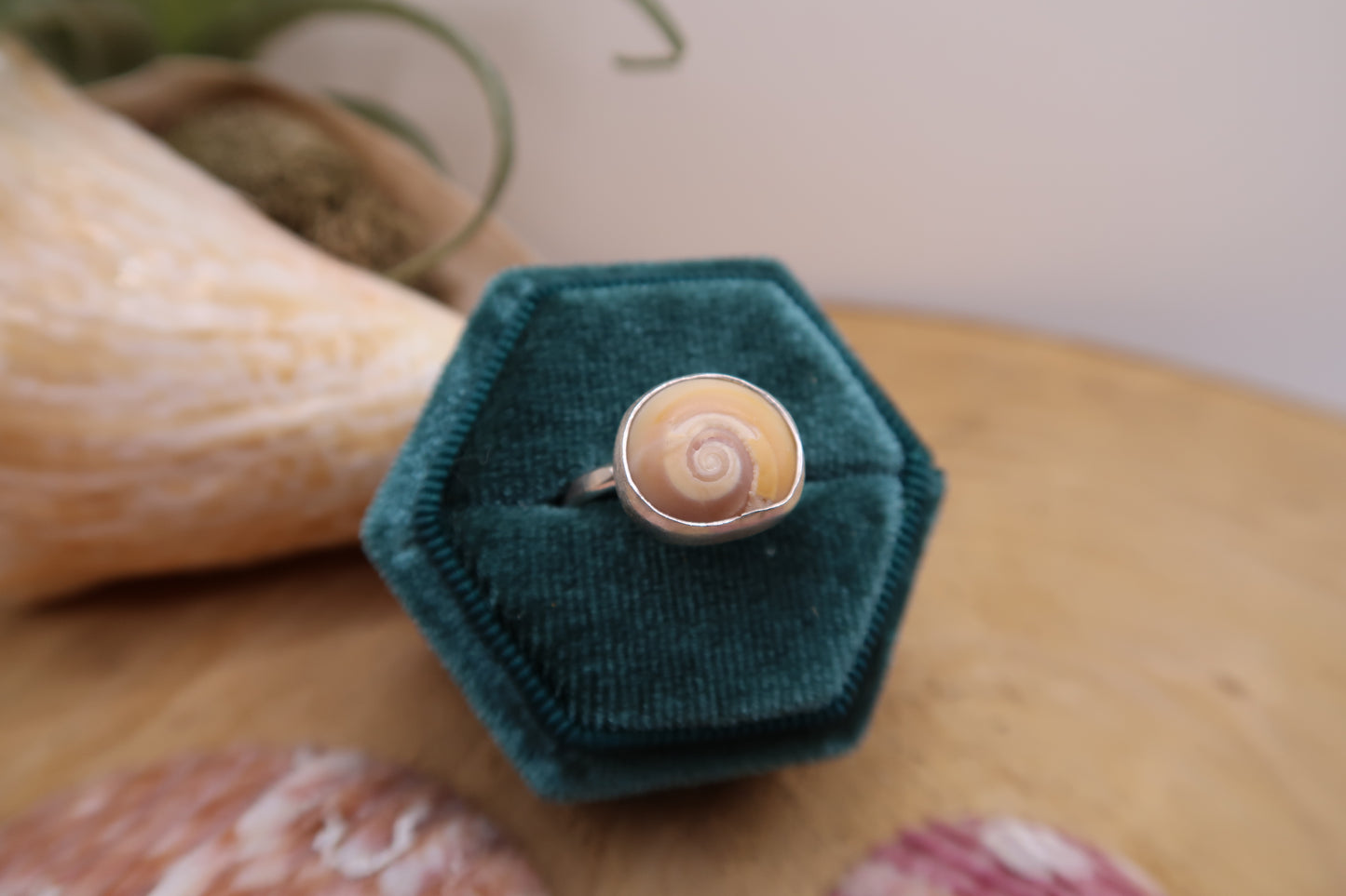 Swirl shell ring size 7