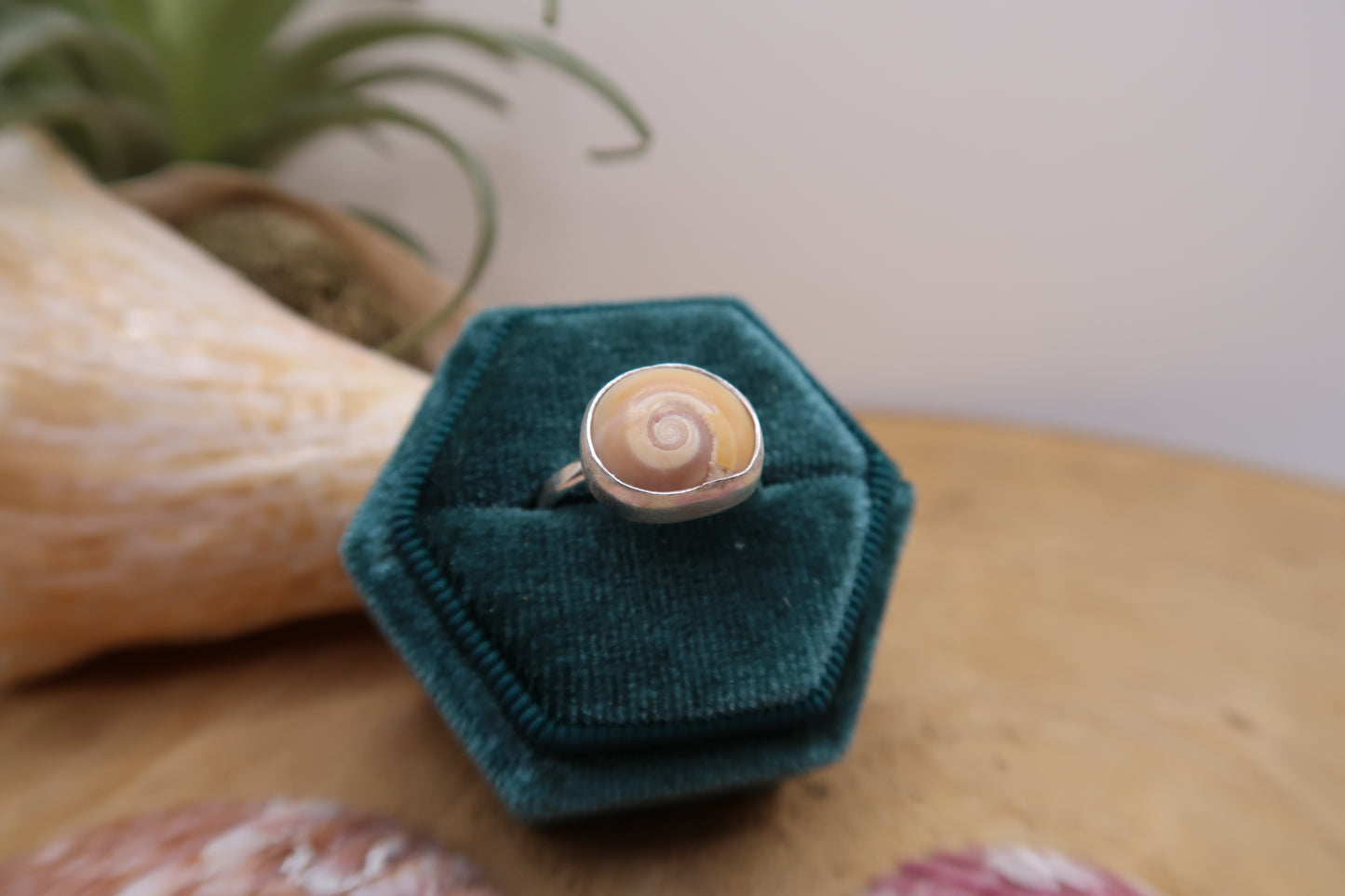 Swirl shell ring size 7