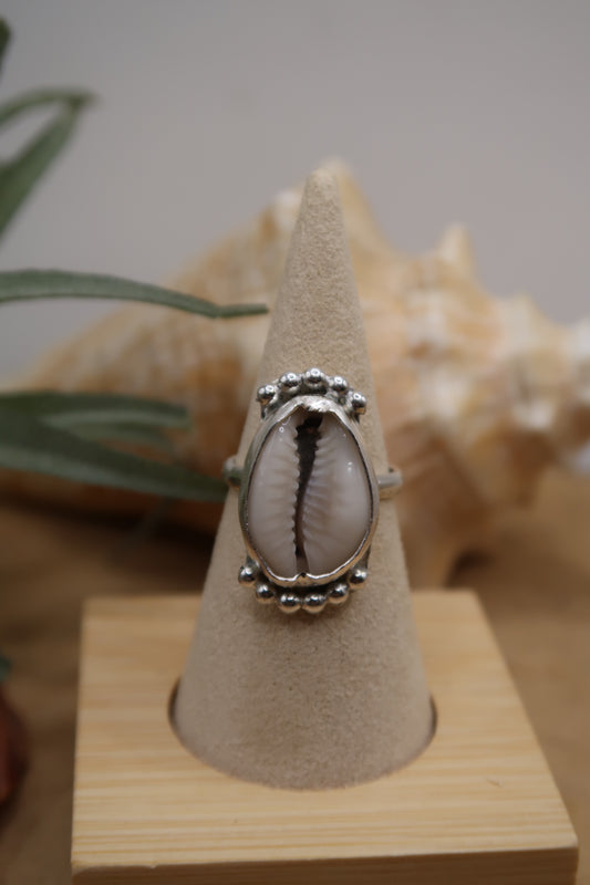 Queen cowrie ring size 7