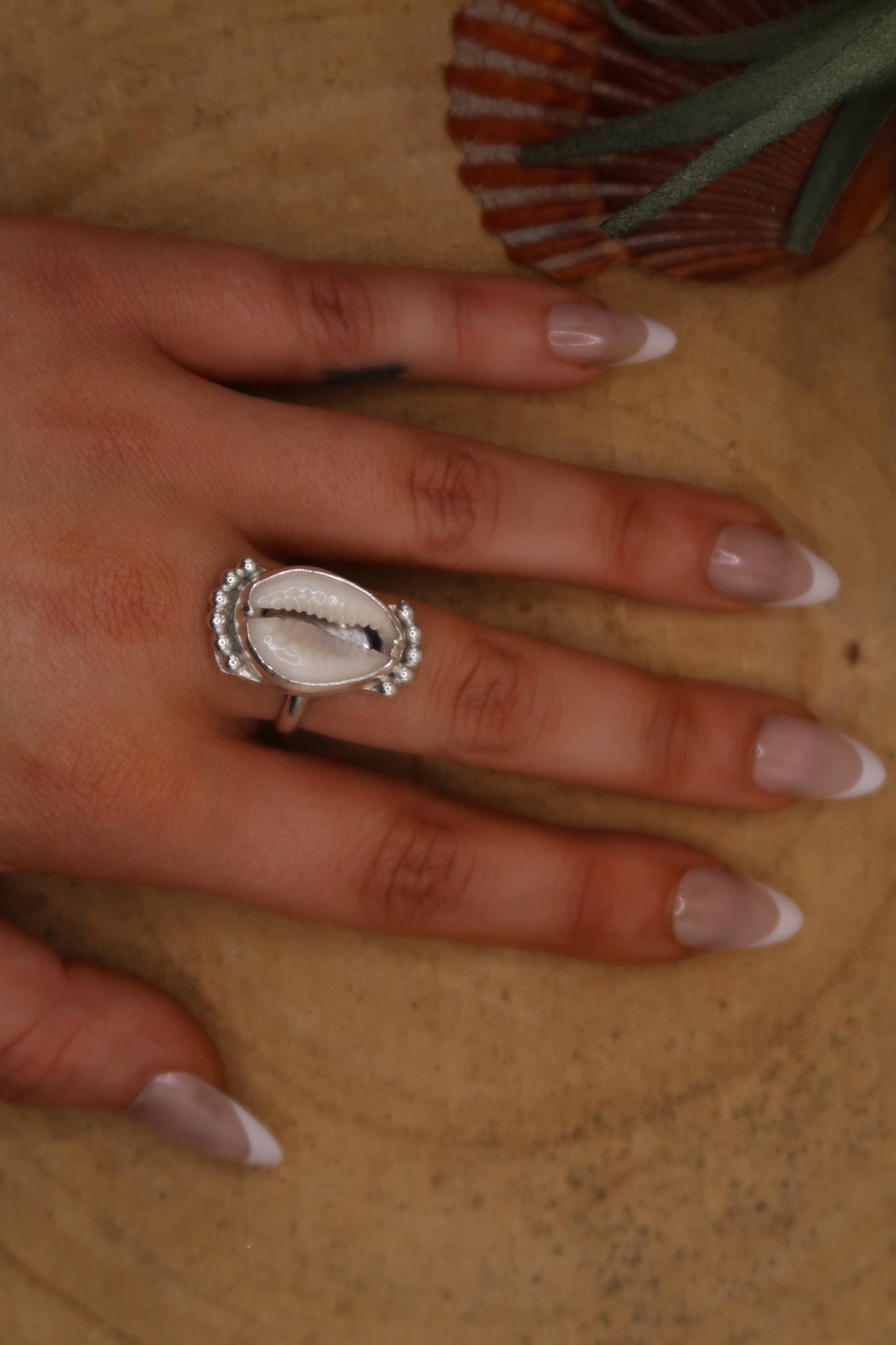 Queen cowrie ring size 7