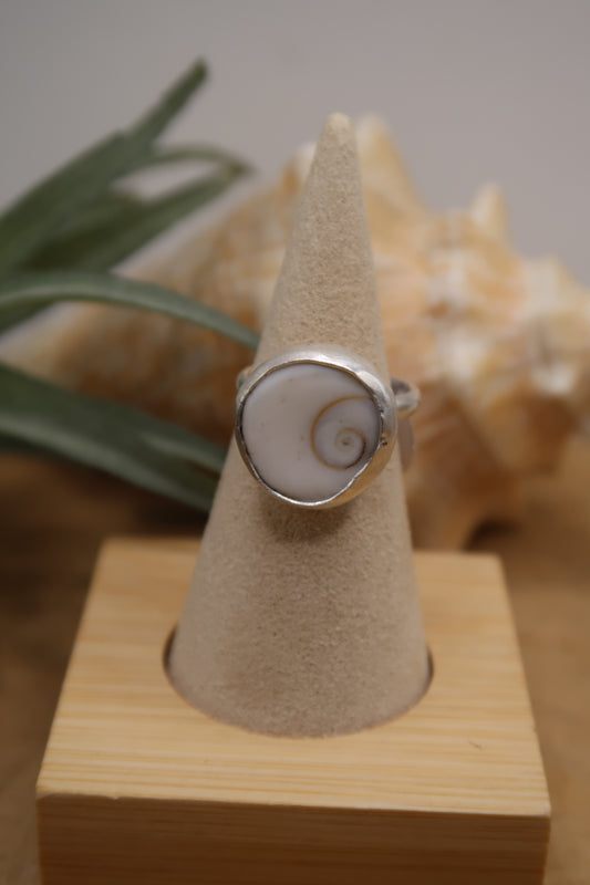 Shiva eye shell- made in your size